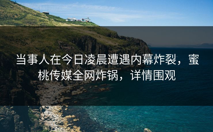 当事人在今日凌晨遭遇内幕炸裂，蜜桃传媒全网炸锅，详情围观