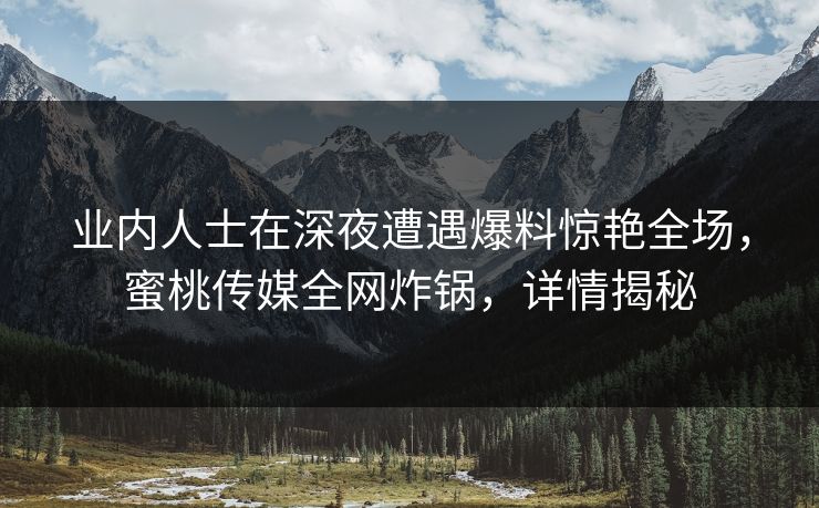业内人士在深夜遭遇爆料惊艳全场，蜜桃传媒全网炸锅，详情揭秘