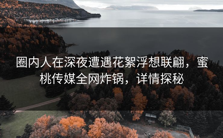 圈内人在深夜遭遇花絮浮想联翩，蜜桃传媒全网炸锅，详情探秘