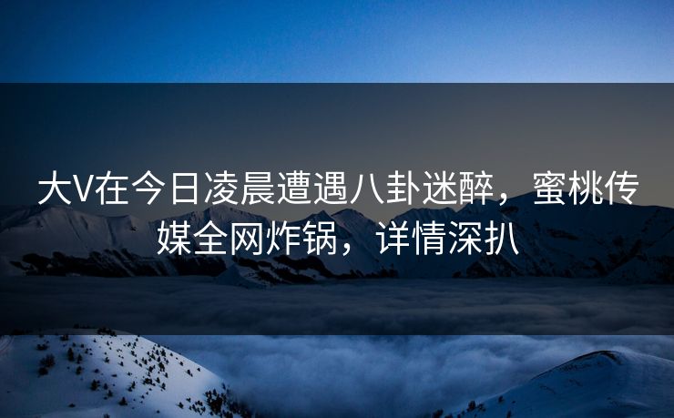 大V在今日凌晨遭遇八卦迷醉，蜜桃传媒全网炸锅，详情深扒