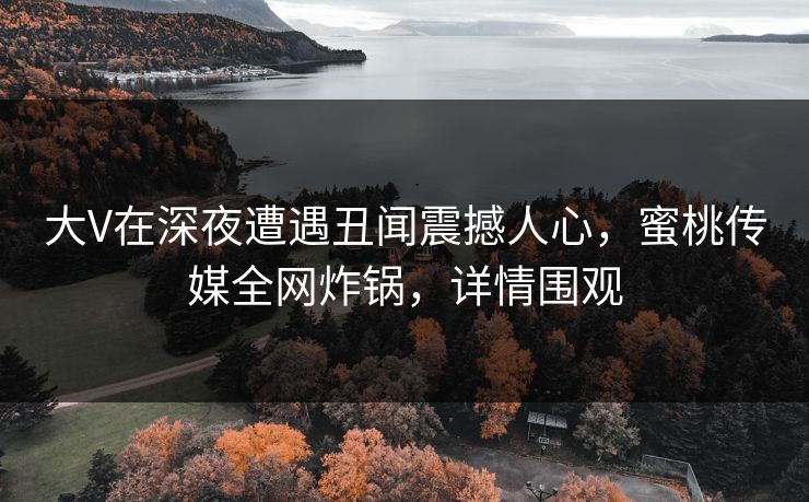 大V在深夜遭遇丑闻震撼人心，蜜桃传媒全网炸锅，详情围观