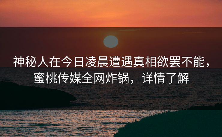 神秘人在今日凌晨遭遇真相欲罢不能，蜜桃传媒全网炸锅，详情了解