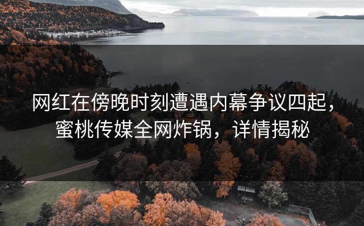 网红在傍晚时刻遭遇内幕争议四起，蜜桃传媒全网炸锅，详情揭秘