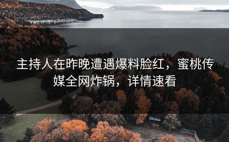 主持人在昨晚遭遇爆料脸红，蜜桃传媒全网炸锅，详情速看