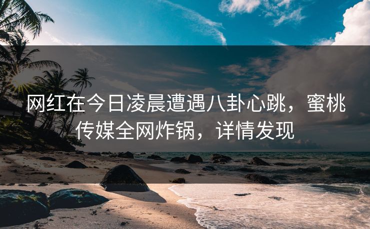 网红在今日凌晨遭遇八卦心跳，蜜桃传媒全网炸锅，详情发现