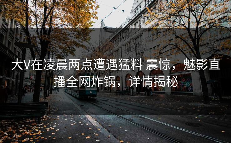大V在凌晨两点遭遇猛料 震惊，魅影直播全网炸锅，详情揭秘