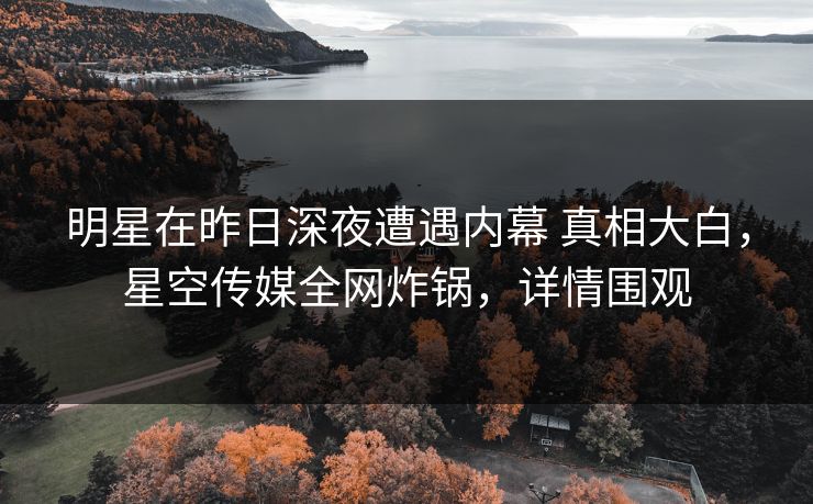 明星在昨日深夜遭遇内幕 真相大白，星空传媒全网炸锅，详情围观