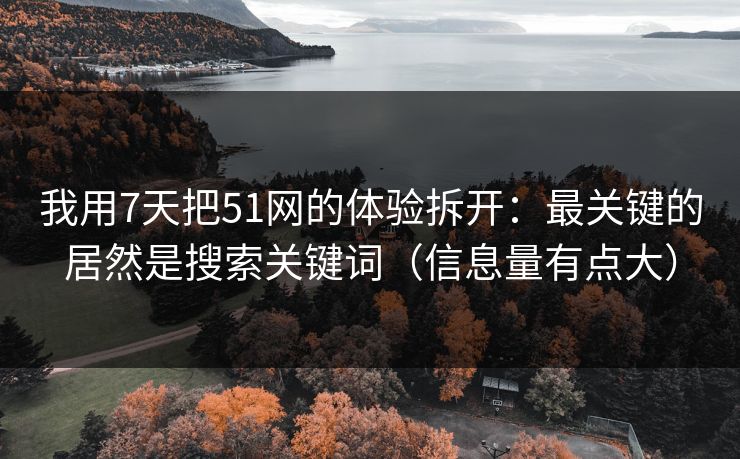 我用7天把51网的体验拆开：最关键的居然是搜索关键词（信息量有点大）